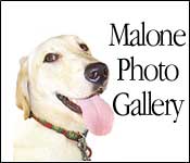 Malone Photo Gallery
